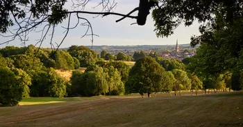 Summer evening Tapton park.jpg